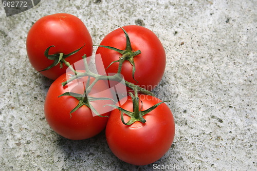 Image of vine tomatoes