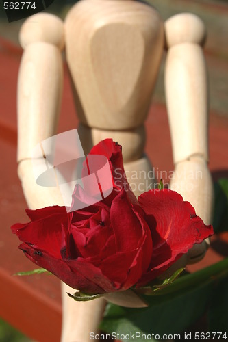 Image of red rose  for a loved one closeup