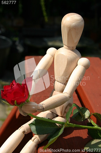 Image of red rose  for a loved one closeup