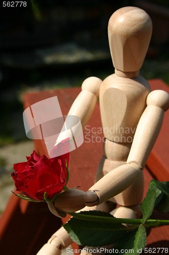 Image of holding a red rose  for a loved one