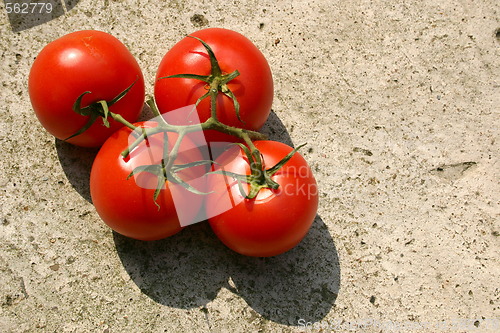 Image of vine tomatoes