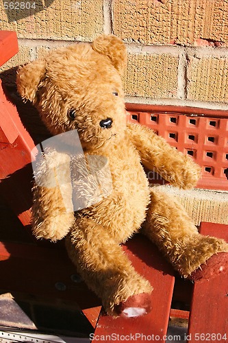 Image of old teddy