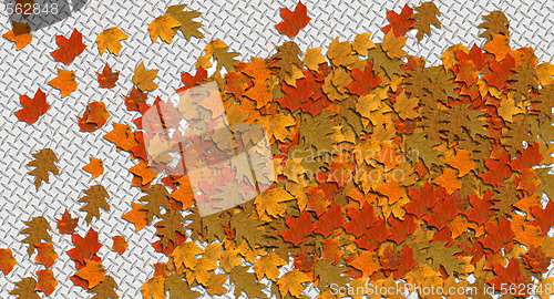 Image of autumn leaves