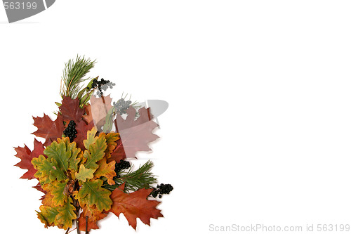 Image of Colorful leaves frame