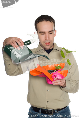 Image of Man Watering Plant