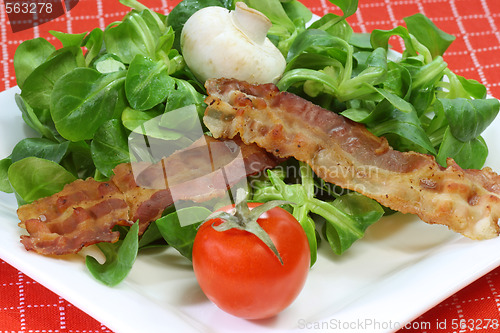 Image of Field salad