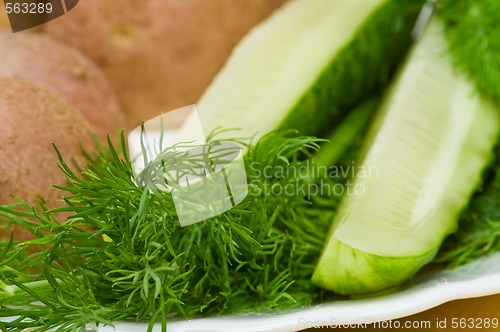 Image of Potatoes, salt cucumber and dill still-life