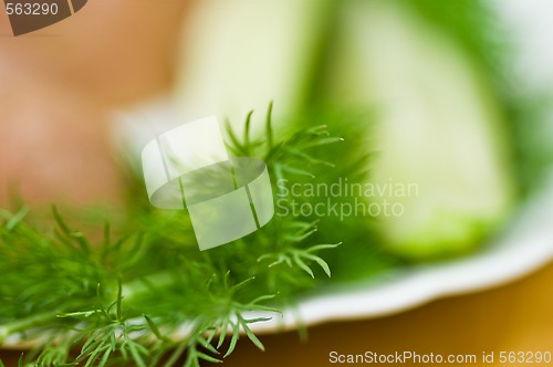 Image of Potatoes, salt cucumber and dill still-life.  