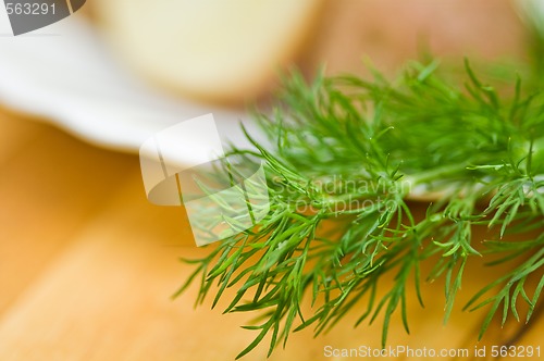 Image of Potatoes, salt cucumber and dill still-life.  