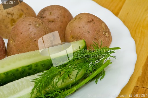 Image of Potatoes, salt cucumber and dill still-life