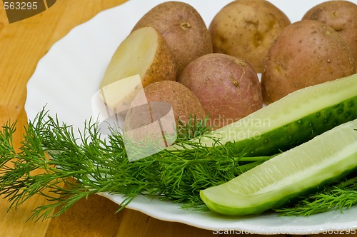 Image of Potatoes, salt cucumber and dill still-life