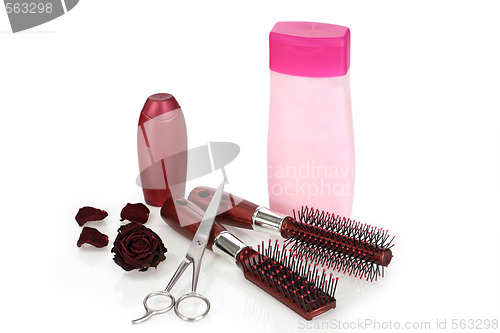 Image of Hair beauty