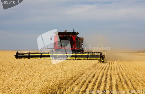 Image of Fall Harvest