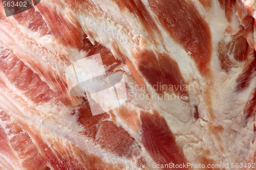 Image of Spare ribs