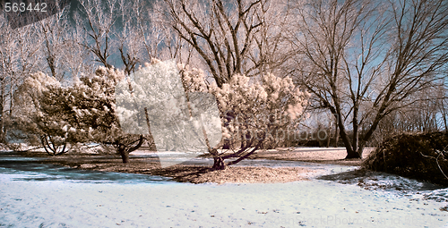 Image of Infrared Landscape