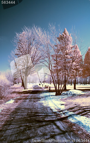 Image of Infrared Landscape