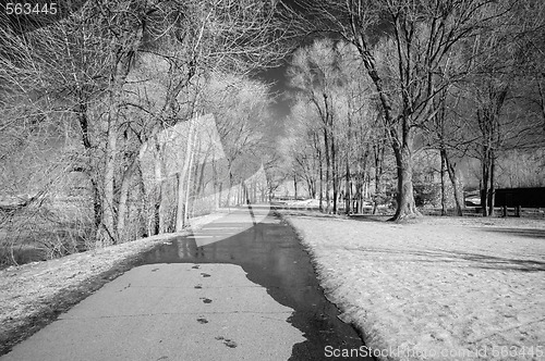 Image of Infrared Landscape