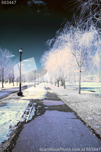 Image of Infrared Landscape