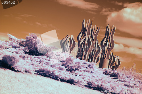 Image of Infrared Landscape