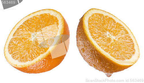 Image of orange