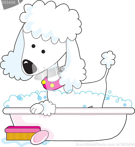 Image of Poodle Bath