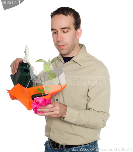 Image of Man Watering Plant