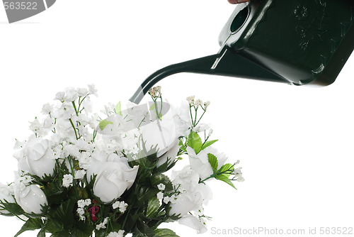 Image of Watering Artificial Roses