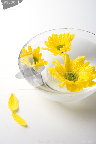 Image of yellow flowers