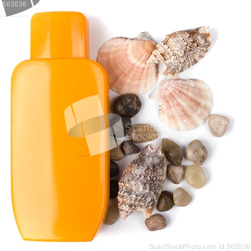 Image of lotion and some pebble and shells