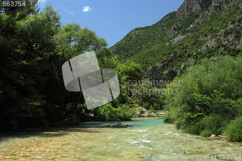 Image of summer landscape 