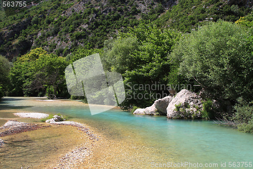 Image of summer landscape 