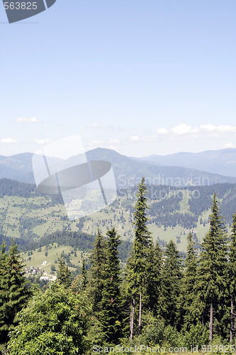 Image of Forest landscape