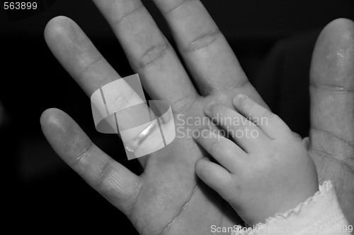 Image of Hand of Baby and father