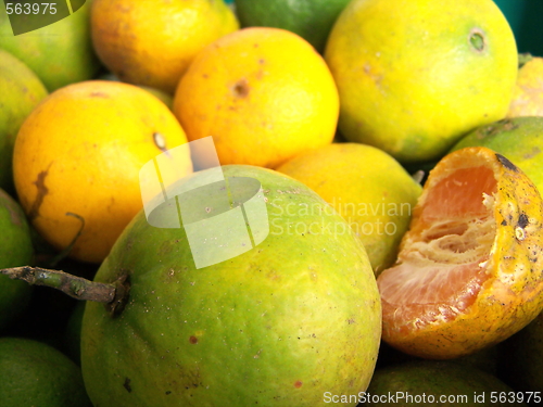 Image of Oranges ripe