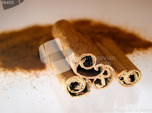 Image of Cinnamon