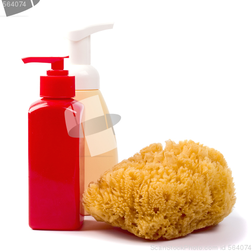 Image of sponge and cosmetics