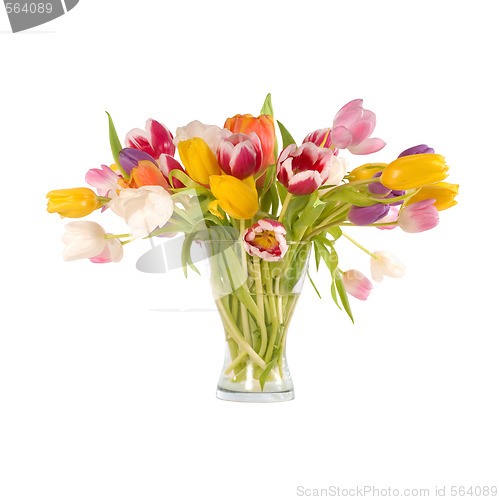 Image of tulips