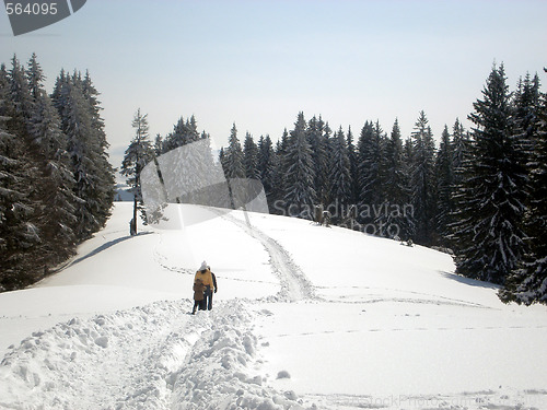 Image of Winter in the mountains