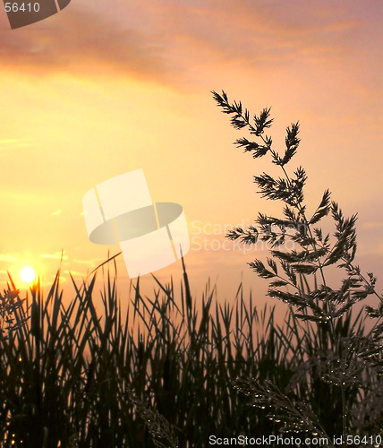 Image of Sunrise