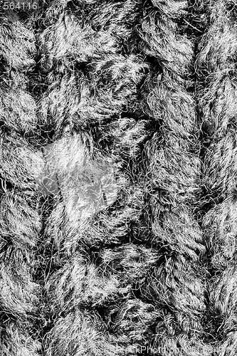 Image of Wool Texture