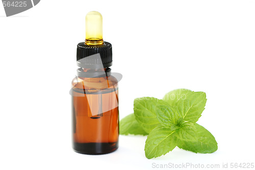 Image of peppermint oil