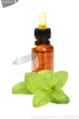 Image of peppermint oil