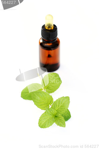 Image of peppermint oil