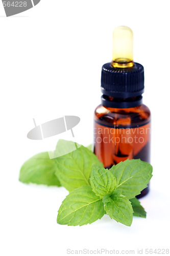 Image of peppermint oil