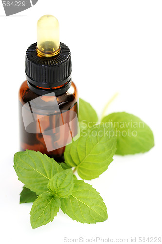 Image of peppermint oil