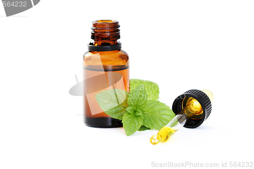 Image of peppermint oil