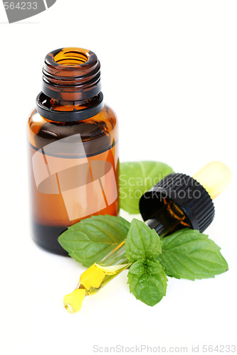 Image of peppermint oil