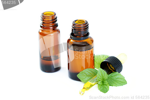 Image of peppermint oil