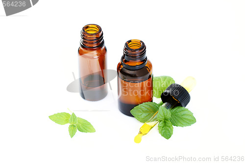 Image of peppermint oil