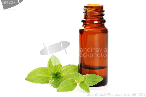 Image of peppermint oil